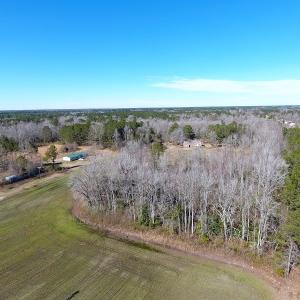 Photo #4 of SOLD property in Sand Hole Road, Riegelwood, NC 11.3 acres