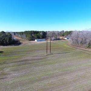 Photo #5 of Sand Hole Road, Riegelwood, NC 11.3 acres