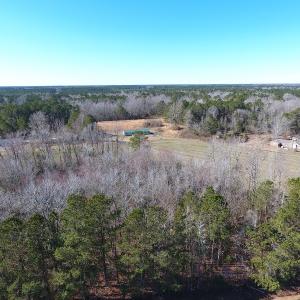 Photo #6 of SOLD property in Sand Hole Road, Riegelwood, NC 11.3 acres