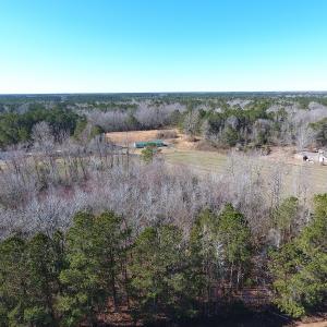 Photo #6 of Sand Hole Road, Riegelwood, NC 11.3 acres