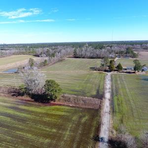 Photo #4 of SOLD property in Sand Hole Road, Riegelwood, NC 13.7 acres