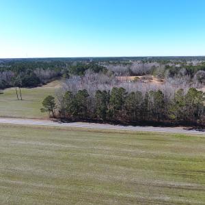 Photo #5 of SOLD property in Sand Hole Road, Riegelwood, NC 13.7 acres