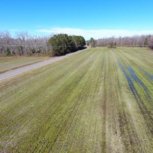 Photo #6 of SOLD property in Sand Hole Road, Riegelwood, NC 13.7 acres