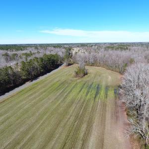 Photo #7 of SOLD property in Sand Hole Road, Riegelwood, NC 13.7 acres