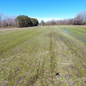 Photo #8 of SOLD property in Sand Hole Road, Riegelwood, NC 13.7 acres