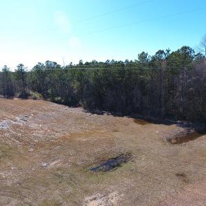 Photo #5 of SOLD property in Near 26880 Andrew Jackson Hwy E, Delco, NC 8.0 acres