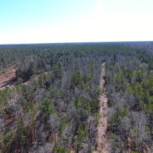 Photo #3 of SOLD property in Near 26880 Andrew Jackson Hwy E, Delco, NC 8.0 acres