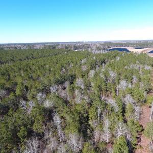 Photo #2 of SOLD property in Near 26880 Andrew Jackson Hwy E, Delco, NC 8.0 acres