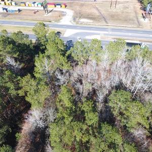 Photo #8 of SOLD property in Near 26880 Andrew Jackson Hwy E, Delco, NC 8.0 acres