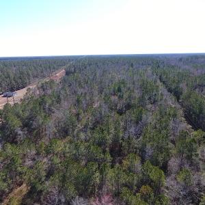 Photo #10 of SOLD property in Near 26880 Andrew Jackson Hwy E, Delco, NC 8.0 acres