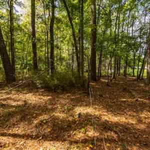 Photo #13 of SOLD property in Off Toon Road , Whiteville , NC 10.5 acres