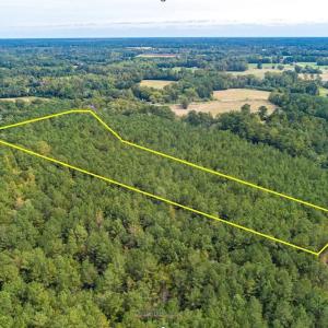 Photo #4 of SOLD property in Off Toon Road , Whiteville , NC 10.5 acres