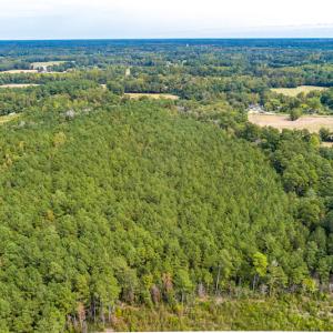 Photo #6 of SOLD property in Off Toon Road , Whiteville , NC 10.5 acres