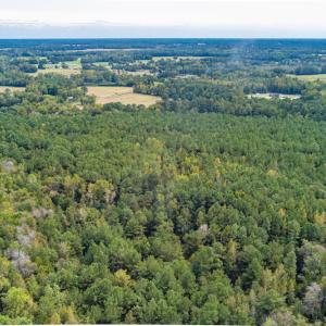 Photo #7 of SOLD property in Off Toon Road , Whiteville , NC 10.5 acres