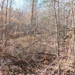 Photo #11 of Off Lancer Ln. / Tbd A.L. Philpott Hwy (Hwy 58), Martinsville, VA 32.9 acres