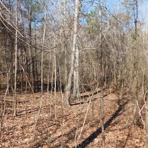 Photo #12 of Off Lancer Ln. / Tbd A.L. Philpott Hwy (Hwy 58), Martinsville, VA 32.9 acres