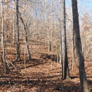 Photo #15 of Off Lancer Ln. / Tbd A.L. Philpott Hwy (Hwy 58), Martinsville, VA 32.9 acres