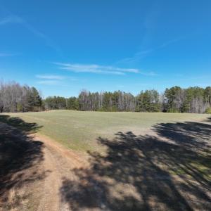 Photo #3 of SOLD property in Off Odell Littleton Road , Littleton , NC 200.0 acres