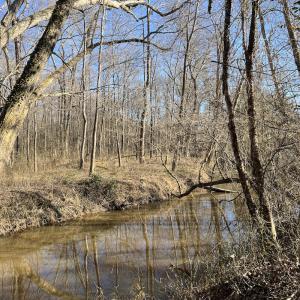 Photo #7 of SOLD property in Off Odell Littleton Road , Littleton , NC 200.0 acres