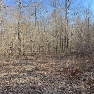 Photo #8 of SOLD property in Off Odell Littleton Road , Littleton , NC 200.0 acres