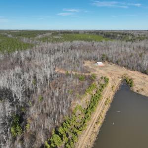Photo #12 of SOLD property in Off Odell Littleton Road , Littleton , NC 200.0 acres