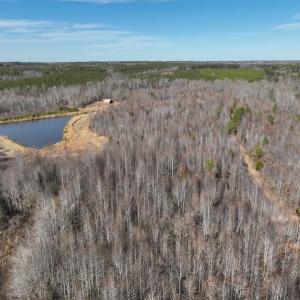 Photo #13 of SOLD property in Off Odell Littleton Road , Littleton , NC 200.0 acres