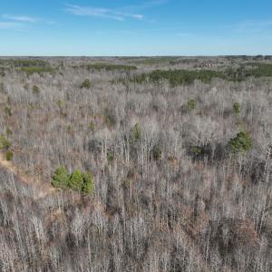 Photo #14 of SOLD property in Off Odell Littleton Road , Littleton , NC 200.0 acres