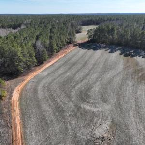 Photo #16 of SOLD property in Off Odell Littleton Road , Littleton , NC 200.0 acres