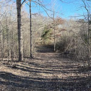 Photo #25 of SOLD property in Off Odell Littleton Road , Littleton , NC 200.0 acres