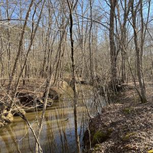 Photo #27 of SOLD property in Off Odell Littleton Road , Littleton , NC 200.0 acres