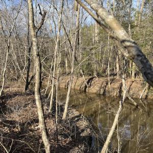 Photo #28 of SOLD property in Off Odell Littleton Road , Littleton , NC 200.0 acres