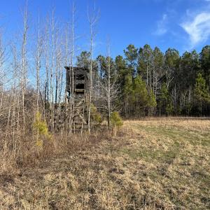 Photo #30 of SOLD property in Off Odell Littleton Road , Littleton , NC 200.0 acres