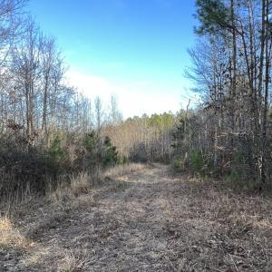 Photo #32 of SOLD property in Off Odell Littleton Road , Littleton , NC 200.0 acres