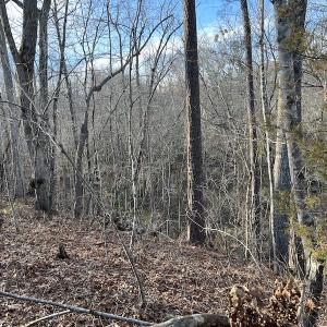 Photo #35 of SOLD property in Off Odell Littleton Road , Littleton , NC 200.0 acres