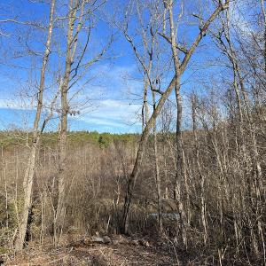 Photo #36 of SOLD property in Off Odell Littleton Road , Littleton , NC 200.0 acres