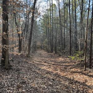 Photo #38 of SOLD property in Off Odell Littleton Road , Littleton , NC 200.0 acres