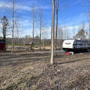 Photo #39 of SOLD property in Off Odell Littleton Road , Littleton , NC 200.0 acres