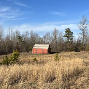 Photo #43 of SOLD property in Off Odell Littleton Road , Littleton , NC 200.0 acres