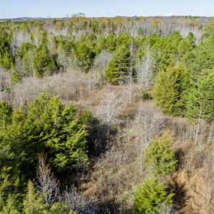 Photo #31 of Glendale Lane Lots 6, 6A, Roxboro, NC 4.7 acres