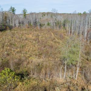 Photo #40 of James Avenue, Roxboro, NC 9.9 acres
