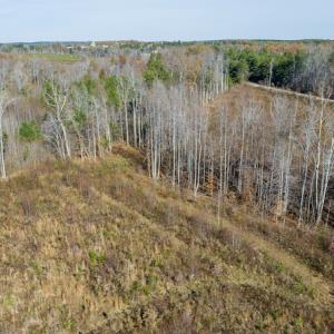 Photo #41 of James Avenue, Roxboro, NC 9.9 acres