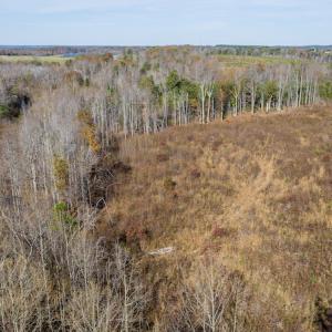 Photo #42 of James Avenue, Roxboro, NC 9.9 acres