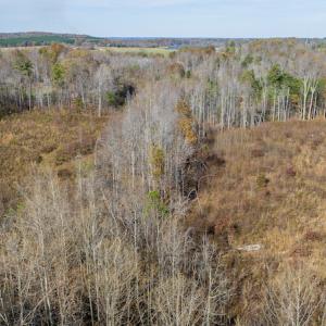 Photo #44 of James Avenue, Roxboro, NC 9.9 acres