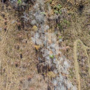 Photo #36 of James Avenue, Roxboro, NC 9.9 acres
