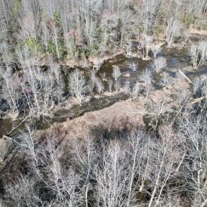 Photo #25 of SOLD property in Off Flood Store Road , Rocky Mount, NC 16.8 acres