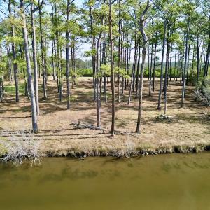Photo #14 of 952 Paradise Shores Rd, Merritt, NC 2.3 acres