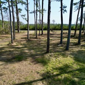 Photo #18 of 952 Paradise Shores Rd, Merritt, NC 2.3 acres
