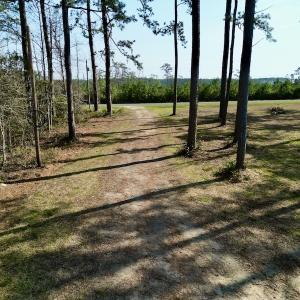 Photo #19 of 952 Paradise Shores Rd, Merritt, NC 2.3 acres