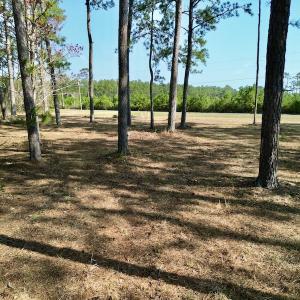 Photo #20 of 952 Paradise Shores Rd, Merritt, NC 2.3 acres