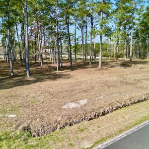 Photo #21 of 952 Paradise Shores Rd, Merritt, NC 2.3 acres